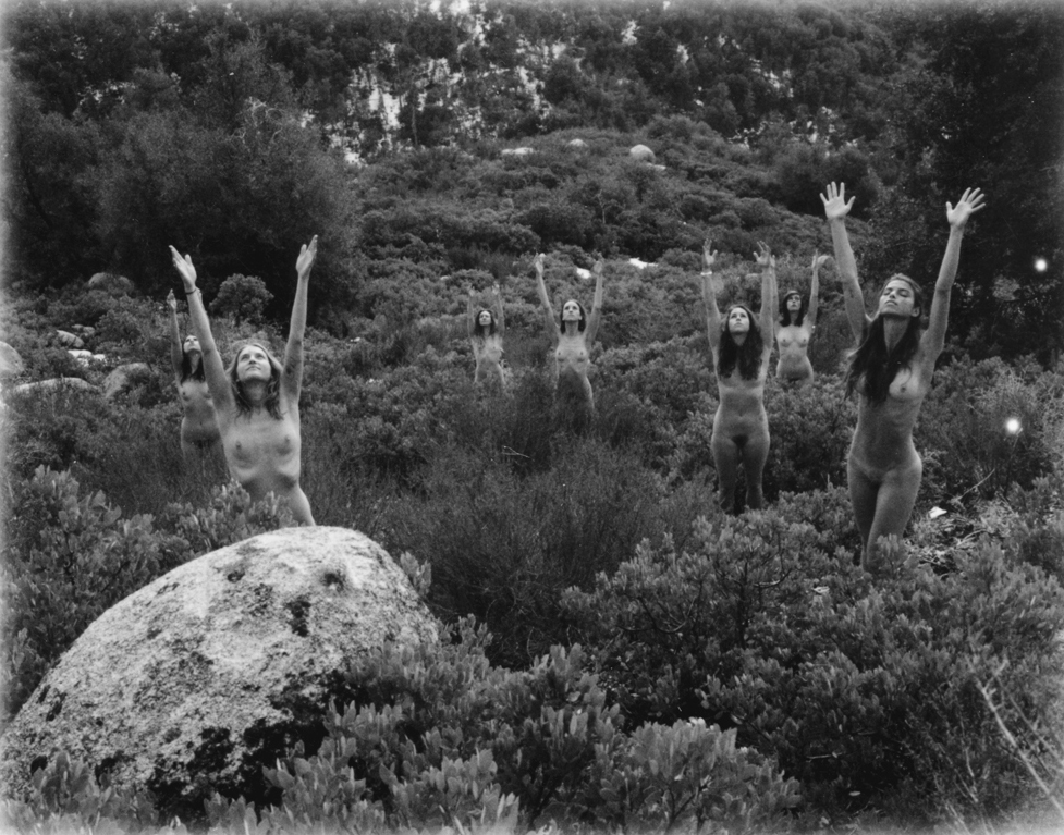 GARDENIA – CARLY FOULKES {EXHIBIT/EVENTS/PHOTOGRAPHY}