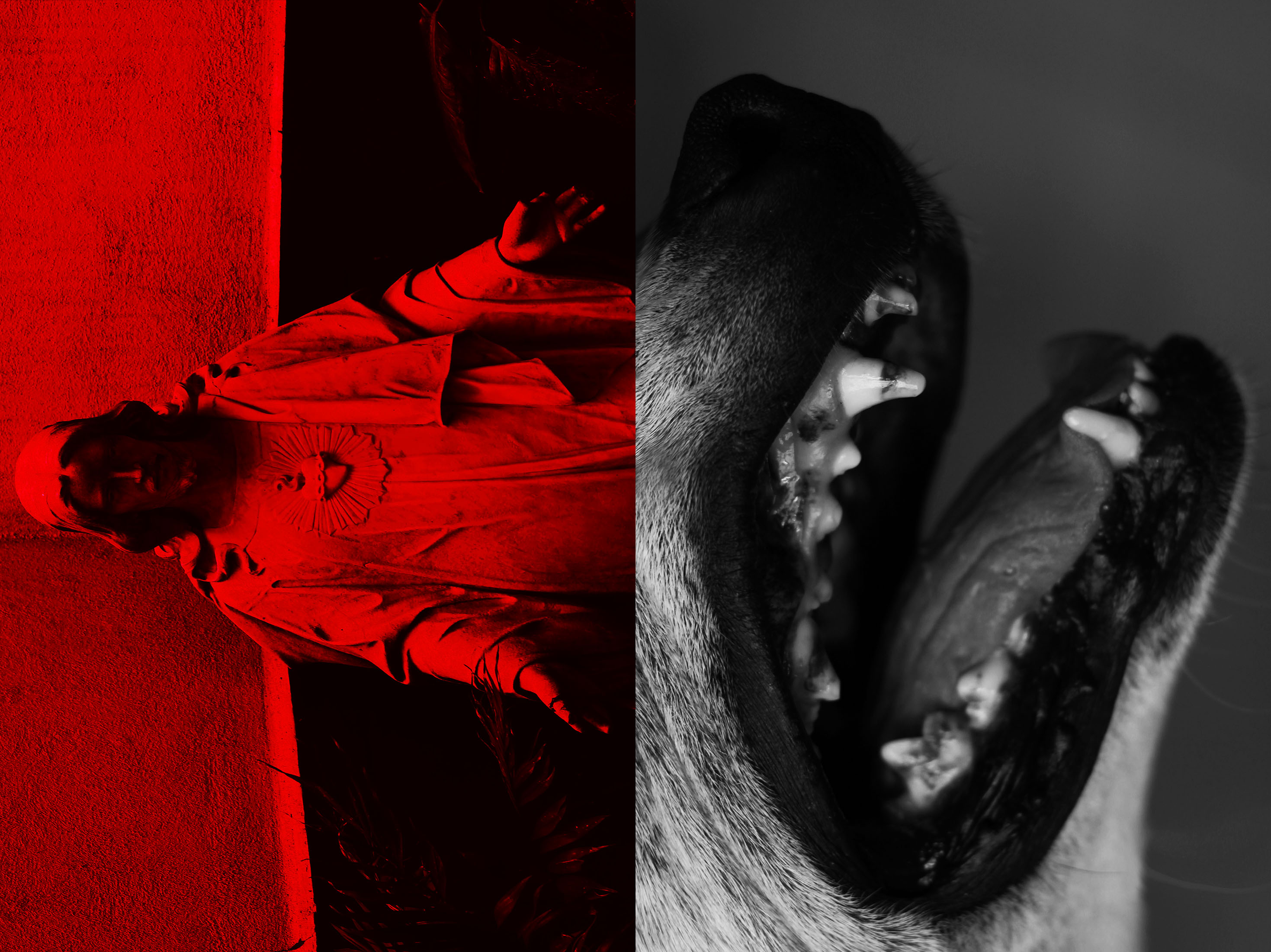 HOUSE OF BIRDS – RYN SALAZAR {ARTIST TO WATCH/PHOTOGRAPHY/NSFW}