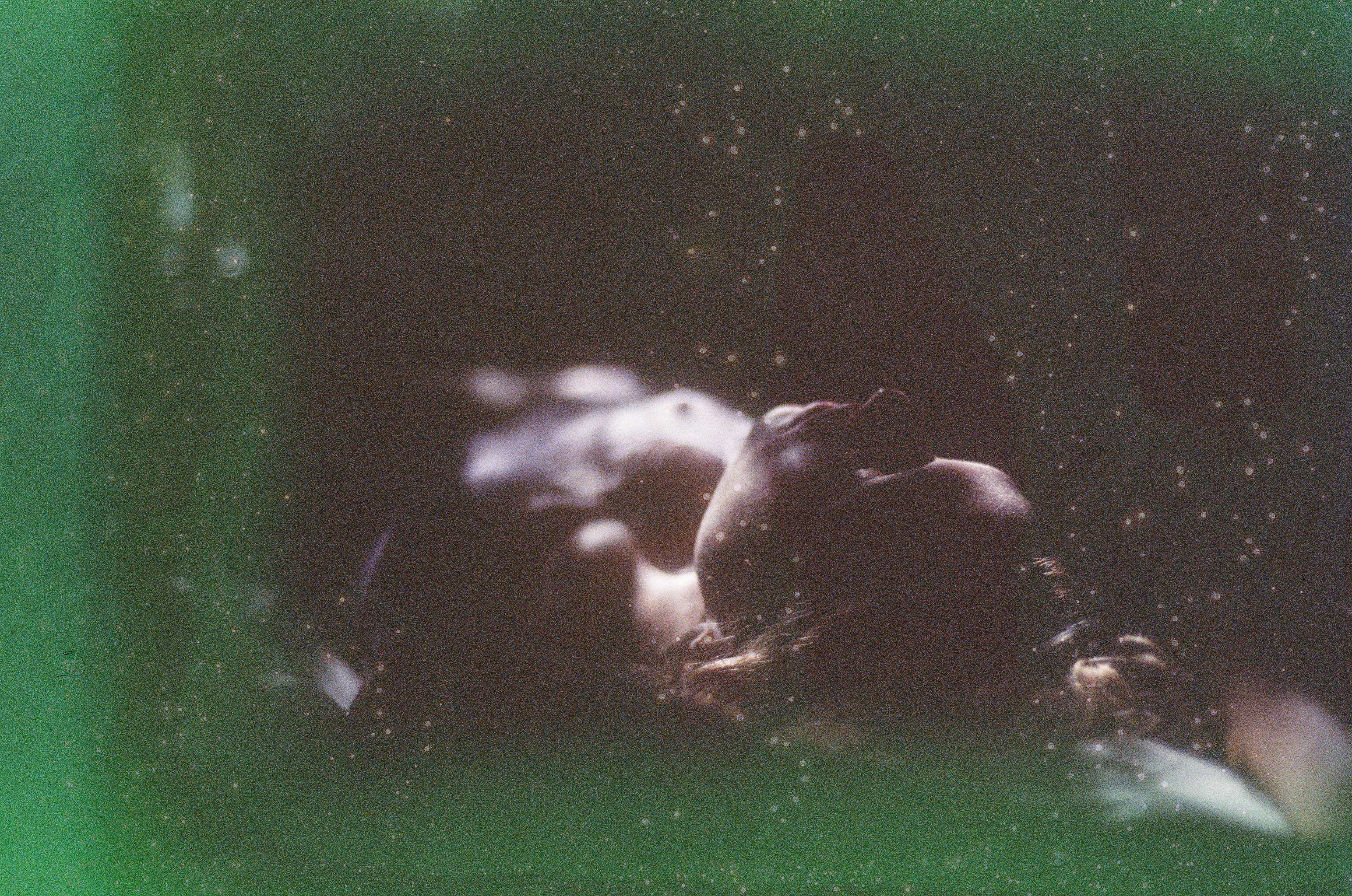 WHAT DREAMS MAY COME – ASHLEY CALLAGHAN {ARTIST TO WATCH/ PHOTOGRAPHER/ NSFW}
