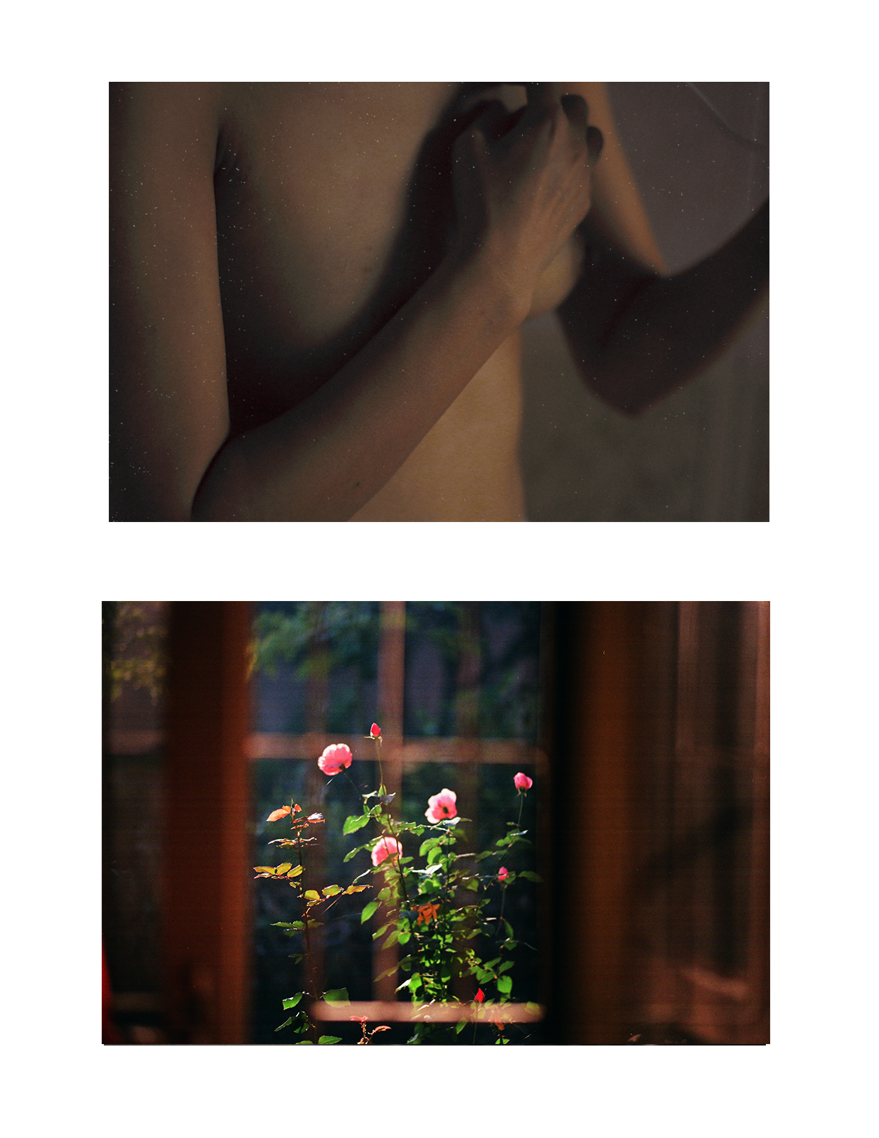 FLOWERS NEVER BEND WITH RAINFALL – MAD PAULE {ARTIST TO WATCH/PHOTOGRAPHY/NSFW}
