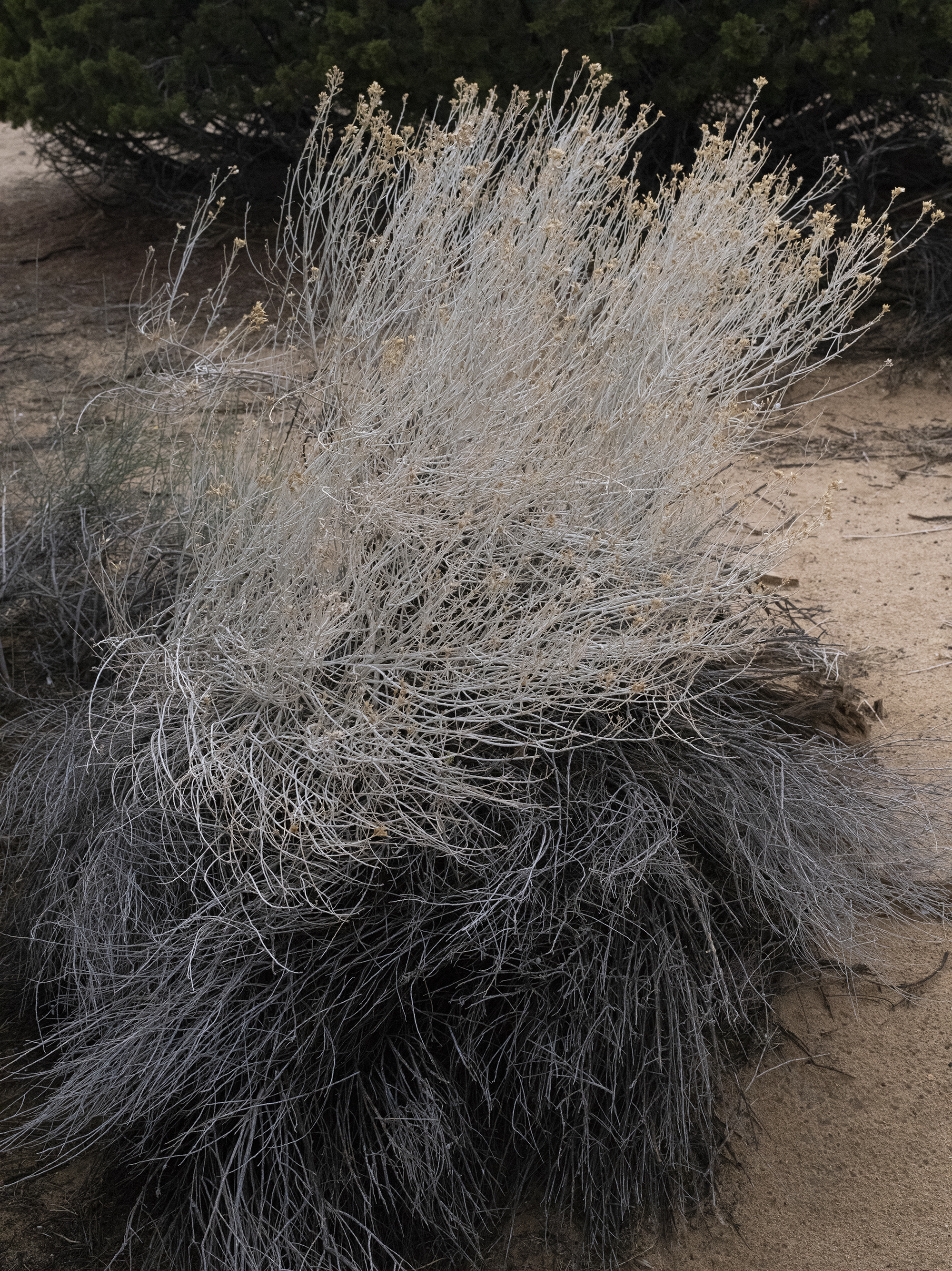 ‘READ MY STEPS’ A NEW VISUAL STORY BY LIKA BRUTYAN {NSFW/EXCLUSIVE EDITORIAL}