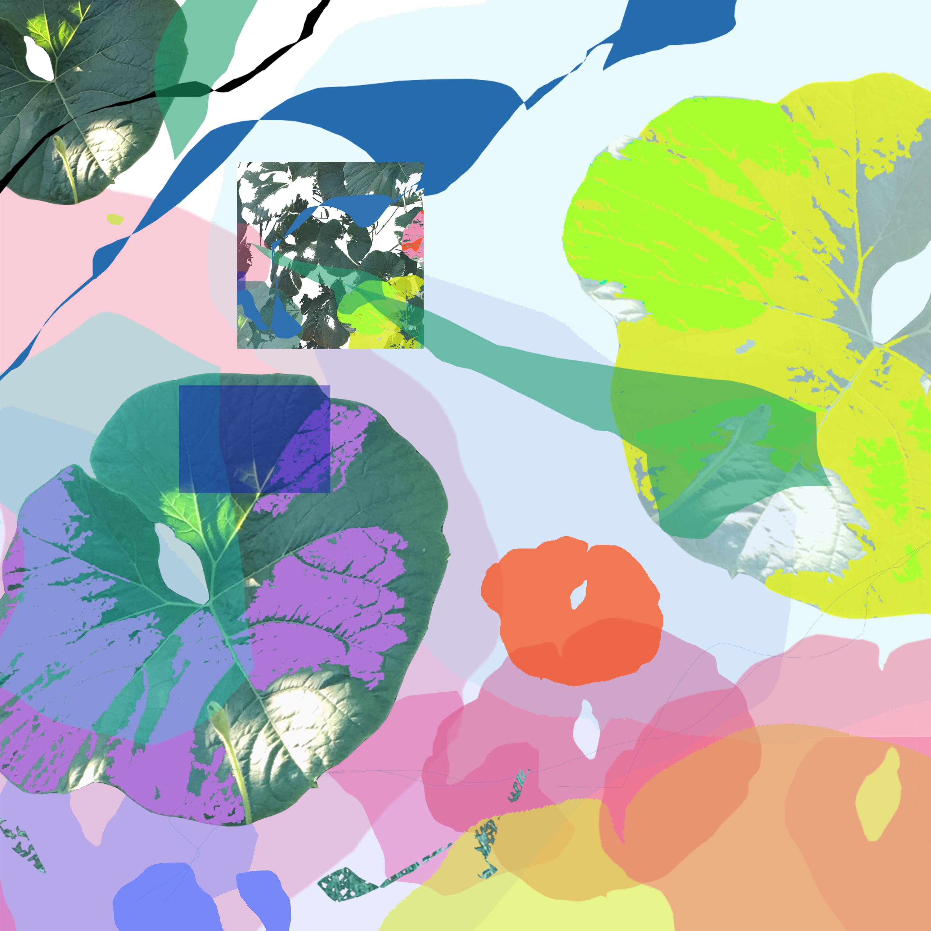 ‘TAKE IT BACK!’ INSTRUMENTAL ALBUM RELEASE FROM ECLECTIC HIP HOP/FOLK ARTIST ‘BEARCATSHARK’ {NEW MUSIC}