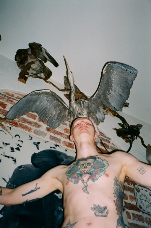 ‘WILDLIFE’ A NEW VISUAL STORY BY ARTIST ‘EWA MICHALIK’