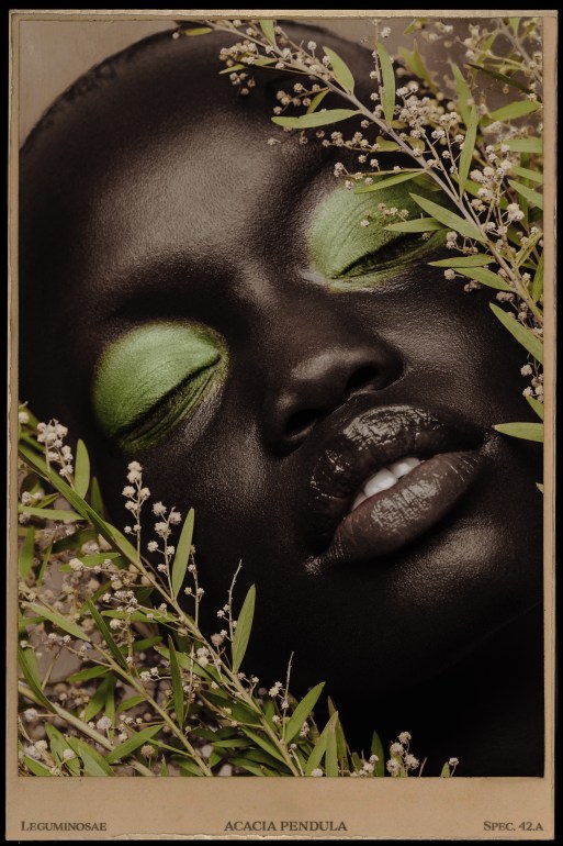 ‘EXQUISITA PLANTEA’ A NEW VISUAL STORY BY PHOTOGRAPHER ‘DALE SOOD’